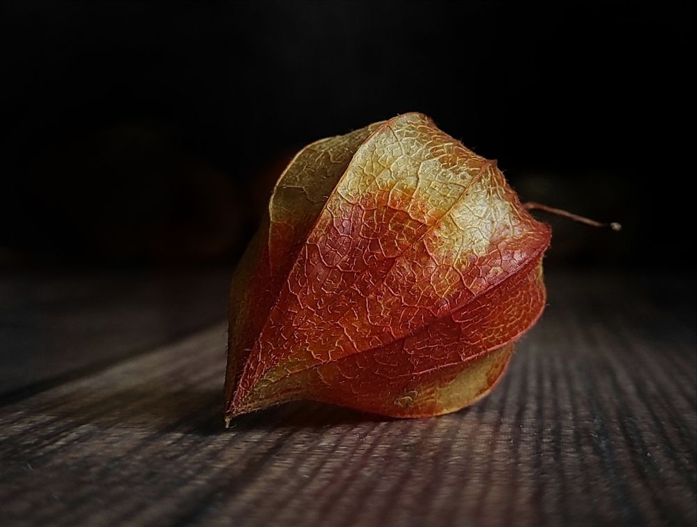 Photograph by Helen Ka