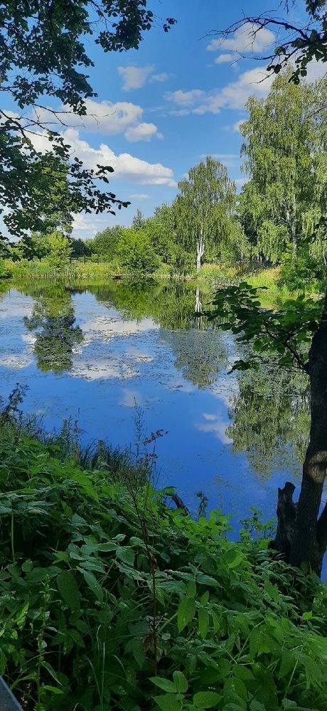 Photograph by Виктория Жаворонкова