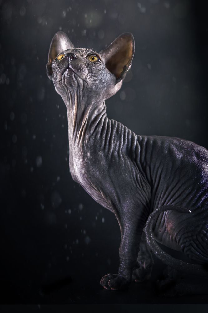 Photograph by Мария Фадеичева