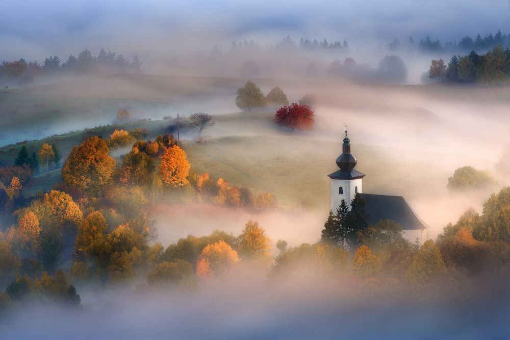 Autumn morning