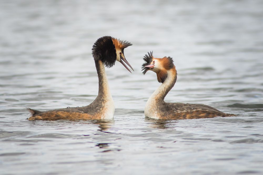 Фотография автора Суслов Дмитрий