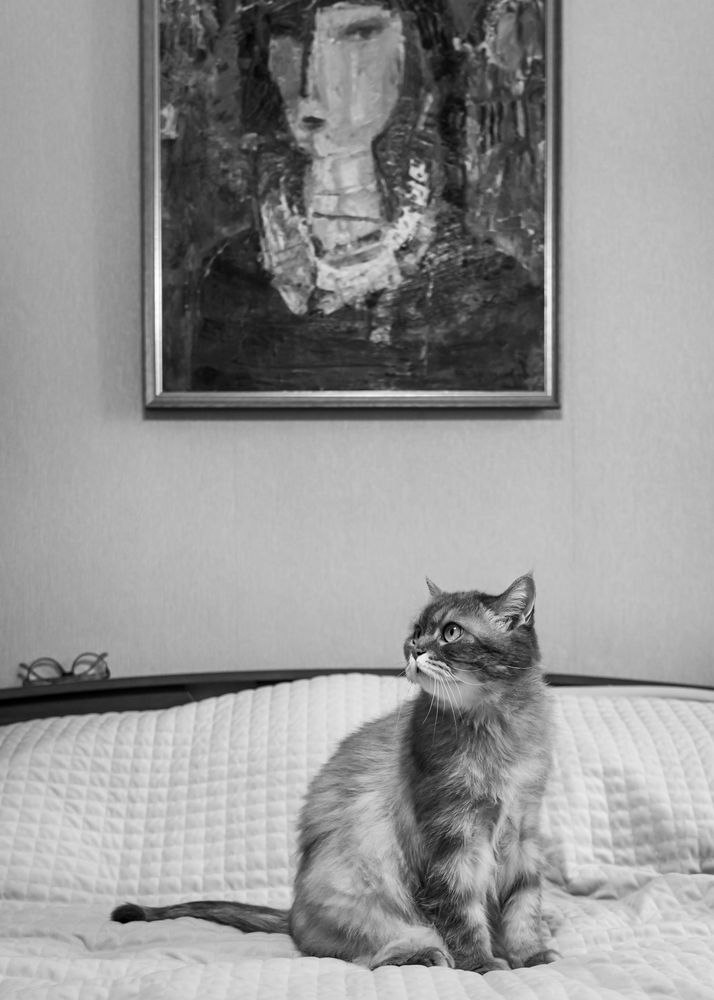 Photograph by Алина Еникеева