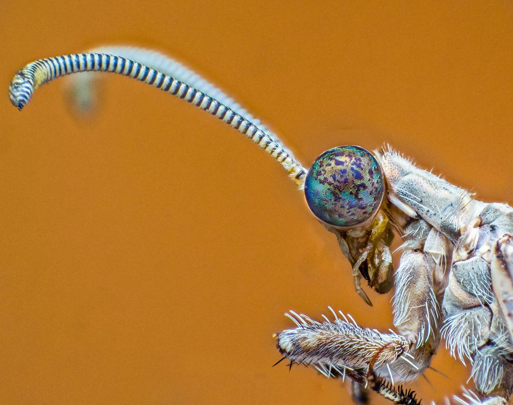 Photograph by Aly Amr