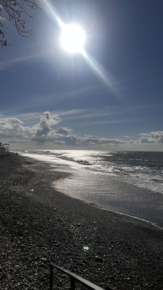 «Солнечный январь».
