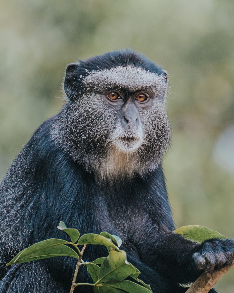 Photograph by Misha Martin