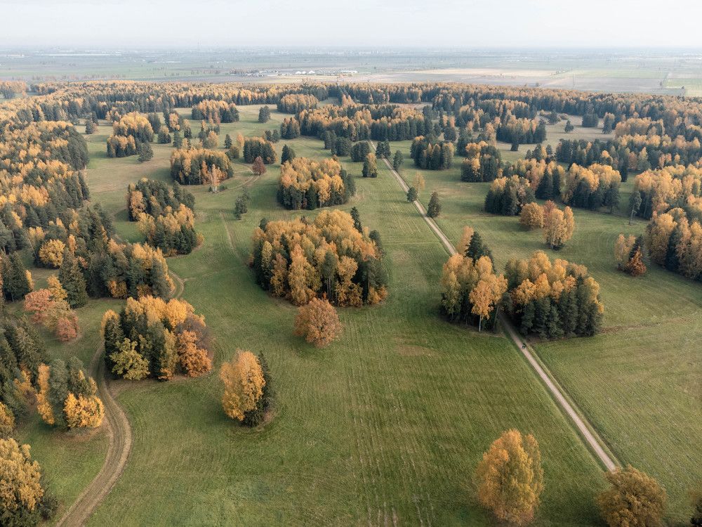 Photograph by Анна Рудякова