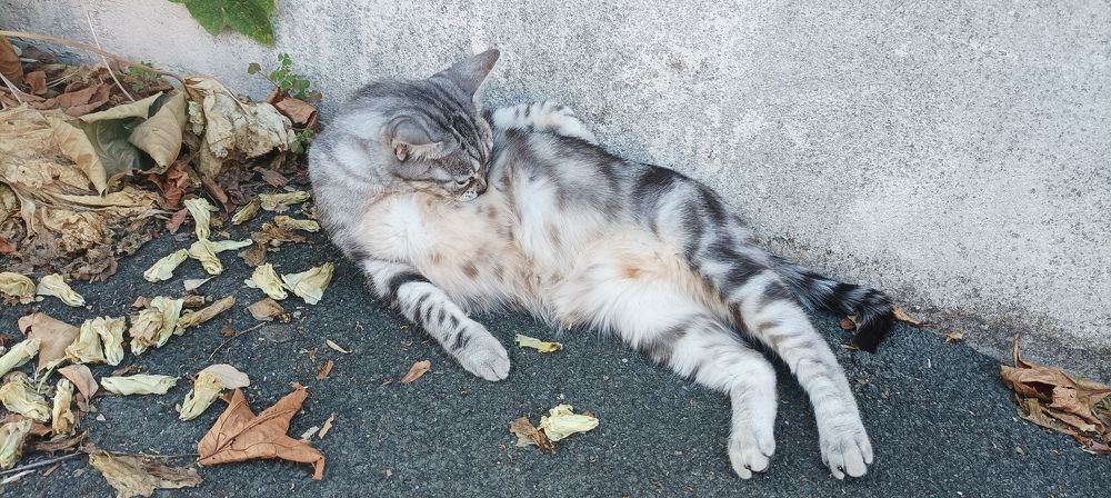 Photograph by Audrey