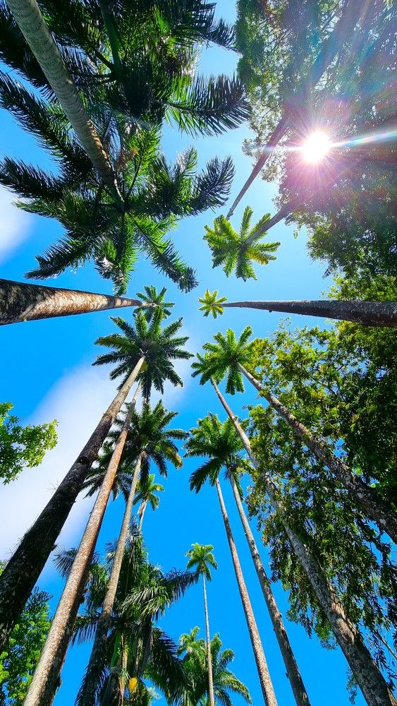 Photograph by Marie G