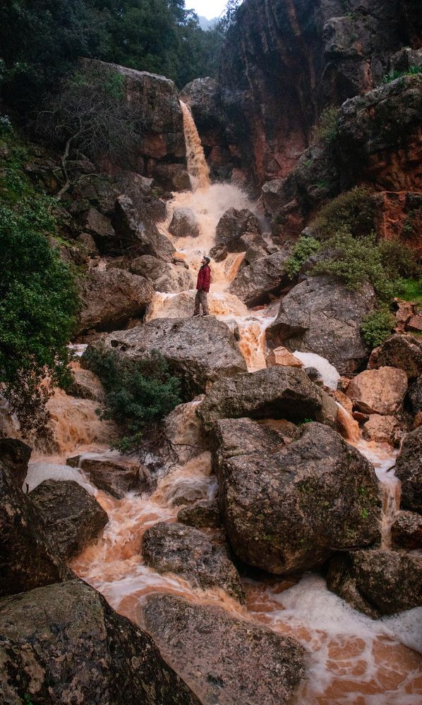 Photograph by Shay yadel