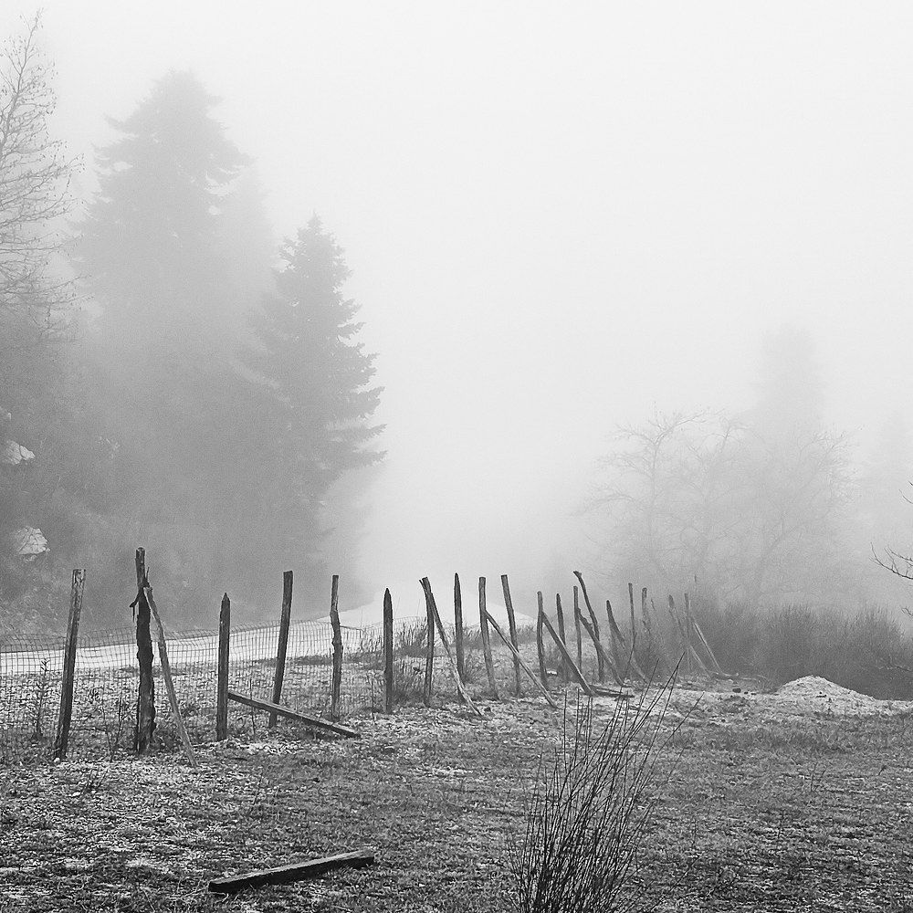 Photograph by Pascal Miliorelli