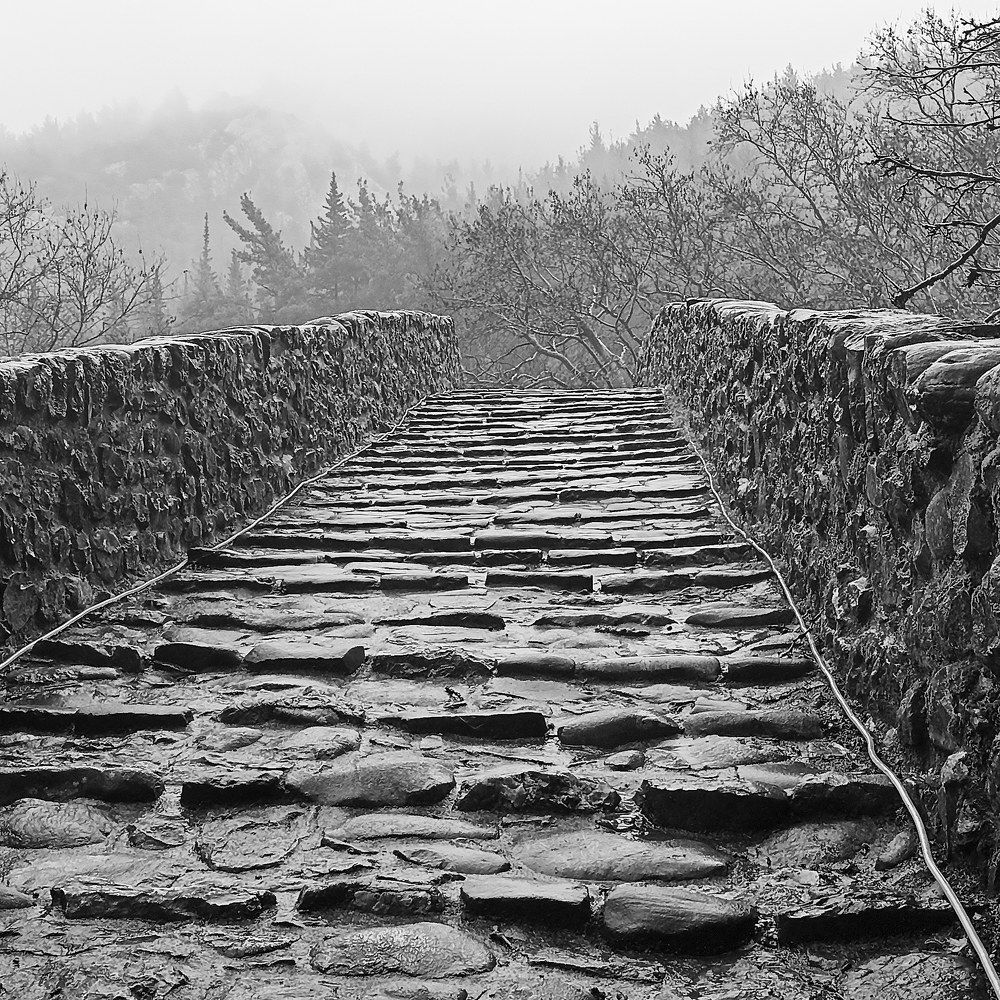 Photograph by Pascal Miliorelli