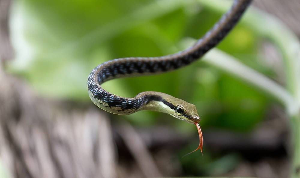 Between life and death