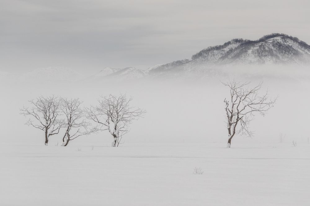 Photograph by Olga Yarovenko