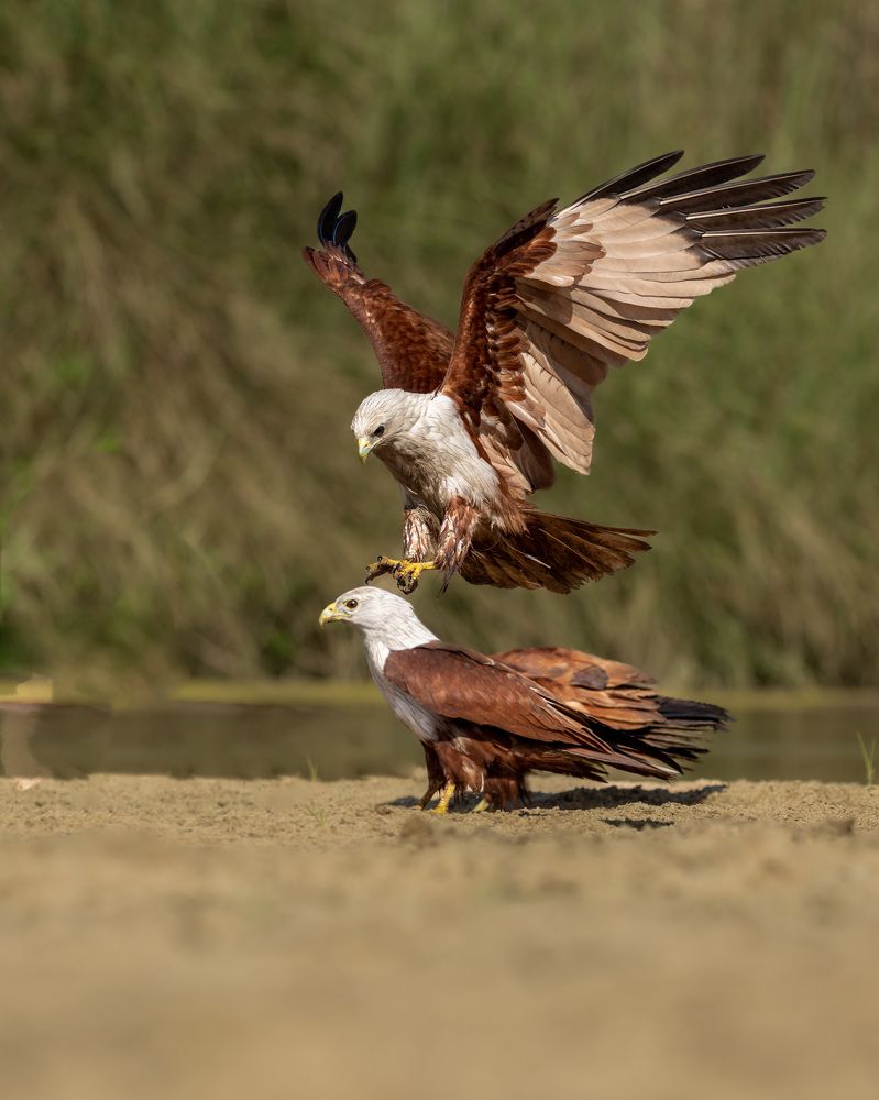 Photograph by ASHWINI BHONGE