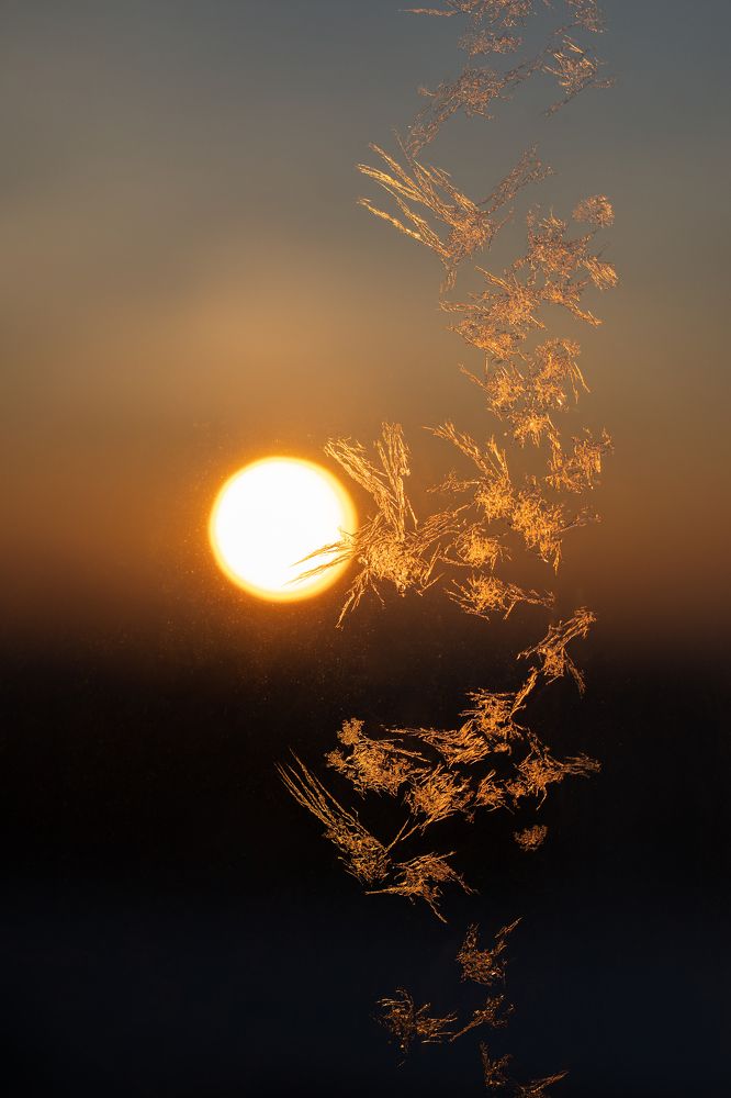 Photograph by Оксана Антипова