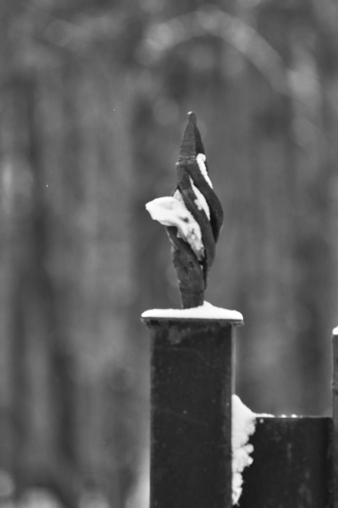 Photograph by Matarykin Alexey