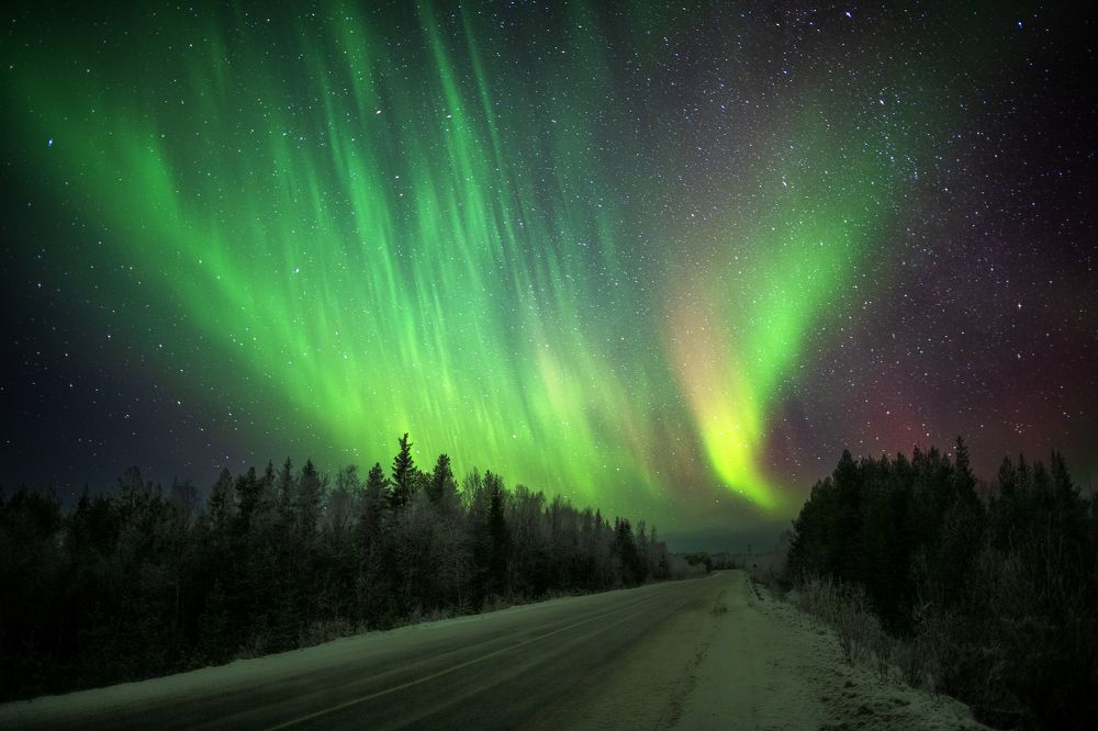 Photograph by Olga Yarovenko