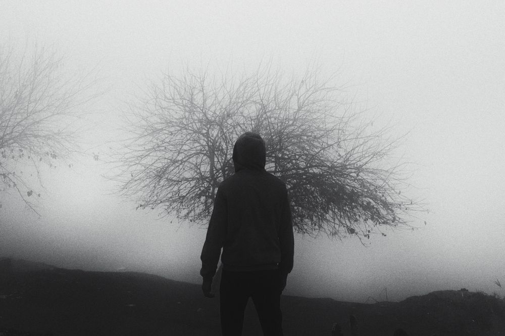 Фотография автора Mahmoud Asaad