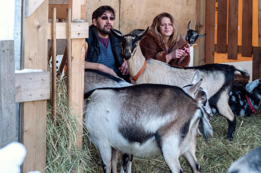 Photograph by Юлия Лис-а