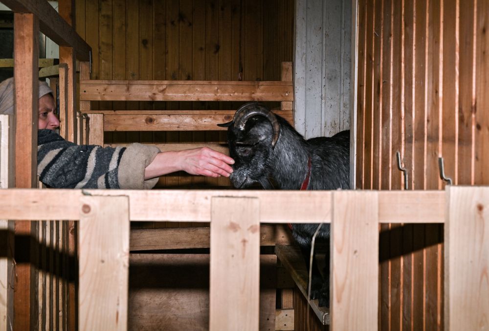 Photograph by Юлия Лис-а