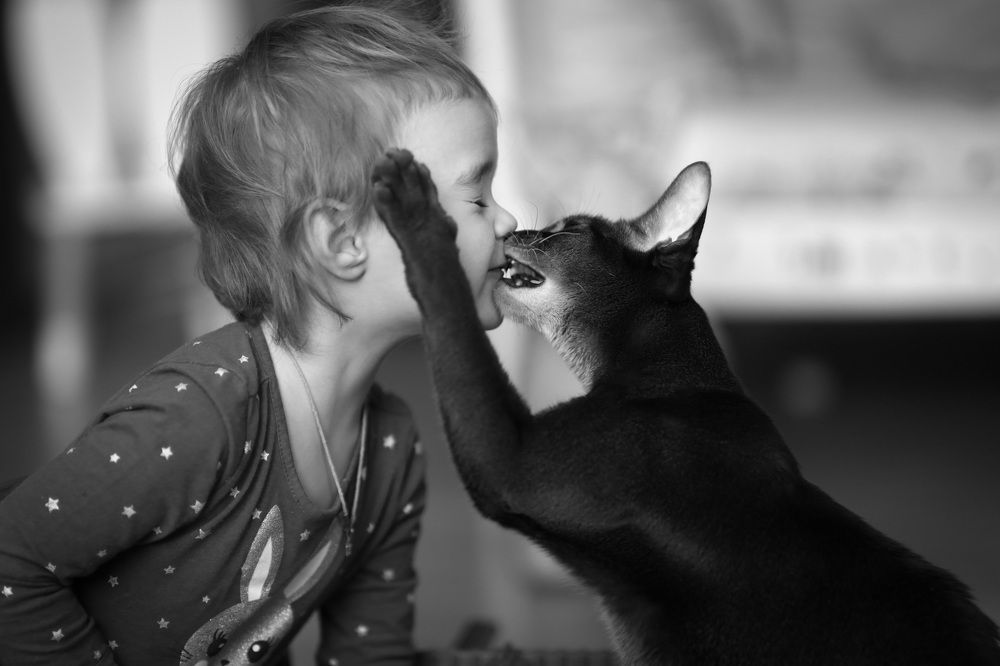 Photograph by Харламова Алина