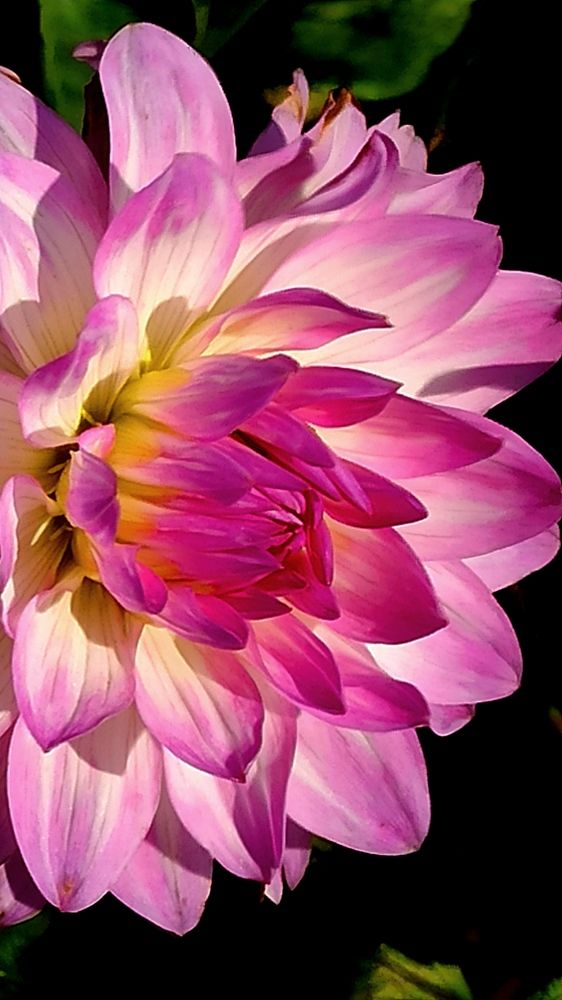 Photograph by Людмила Щуцкая