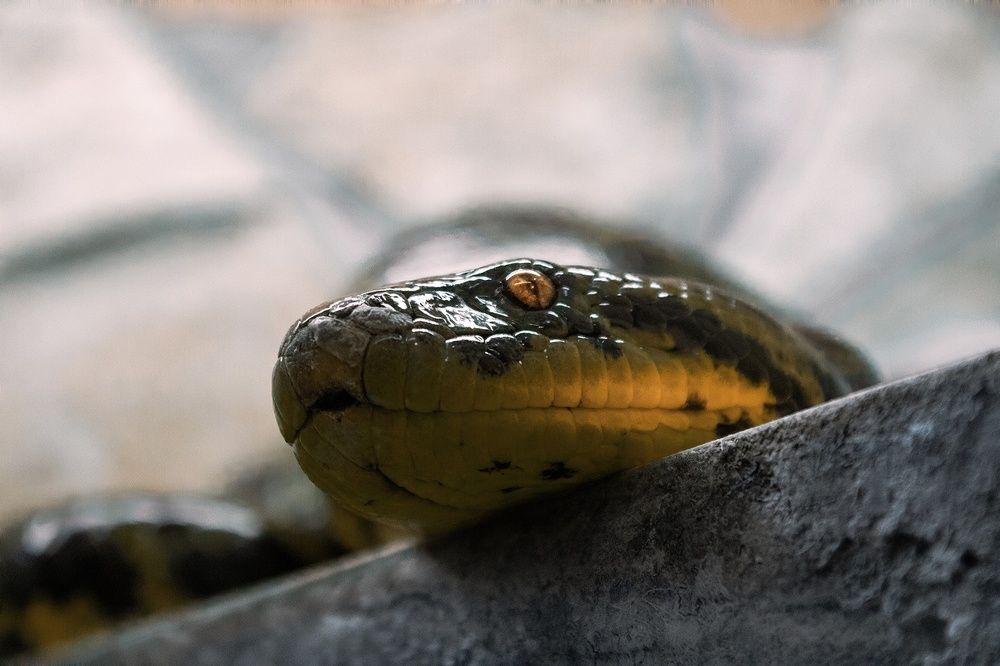 Фотография автора AlexanderJPh