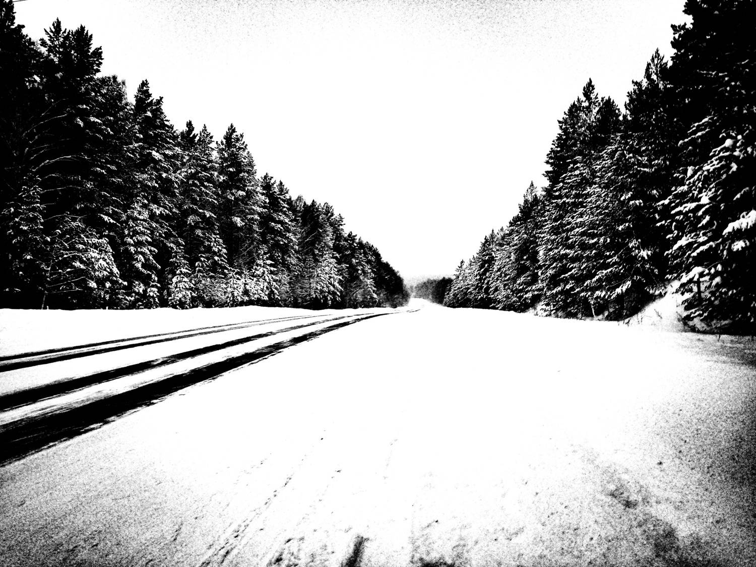 Photo #8811216