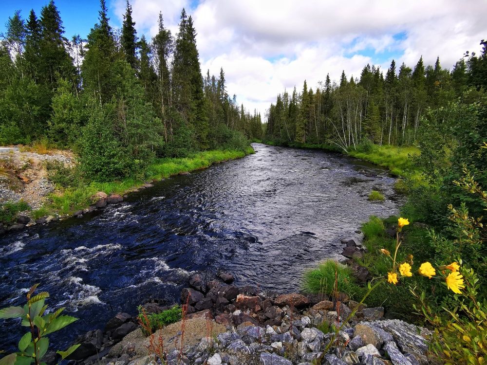 Photograph by Елена Артёменко