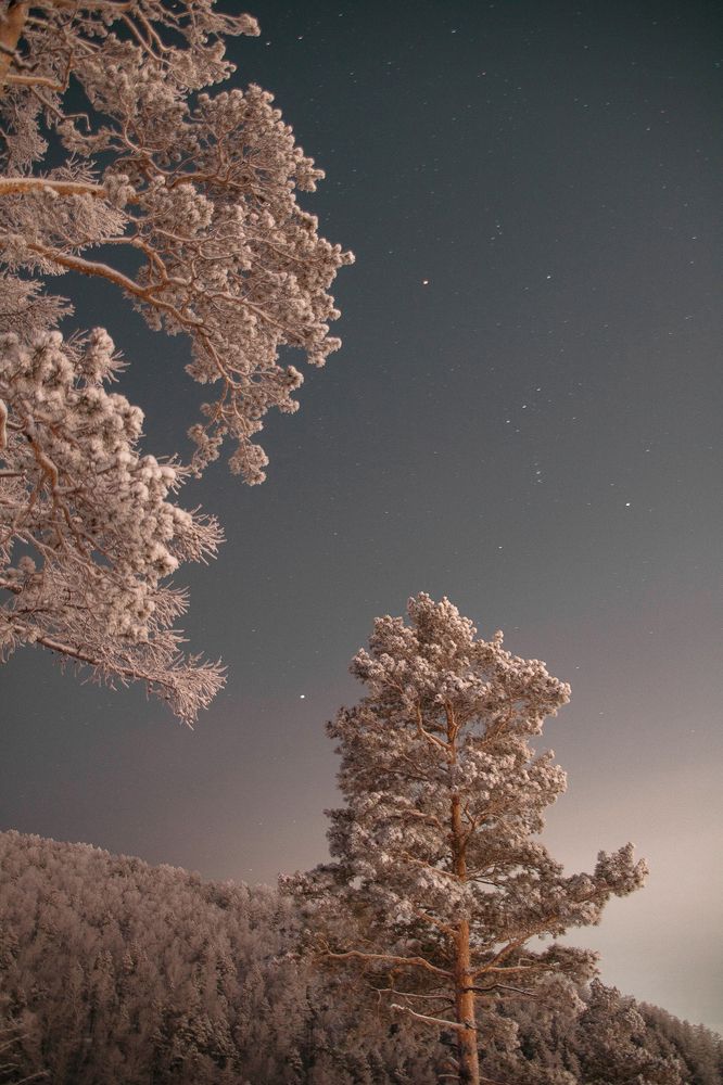 Фотография автора Александр Крапачев