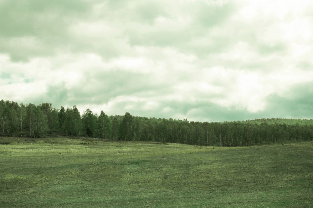 Фотография автора Александр Крапачев