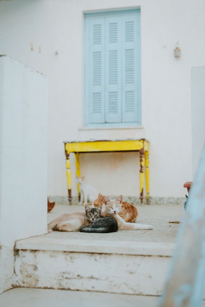 Photograph by Sotiris Chasiotis