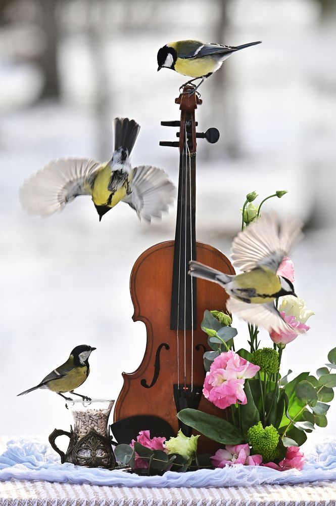 Photograph by Чернобай Анна