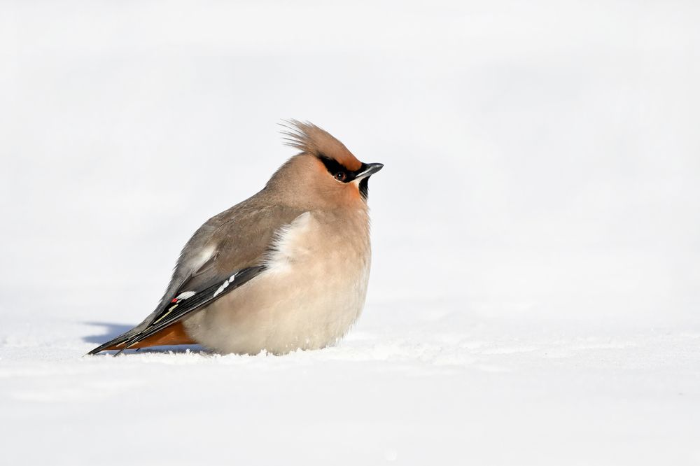 Photograph by Александр Перегудов