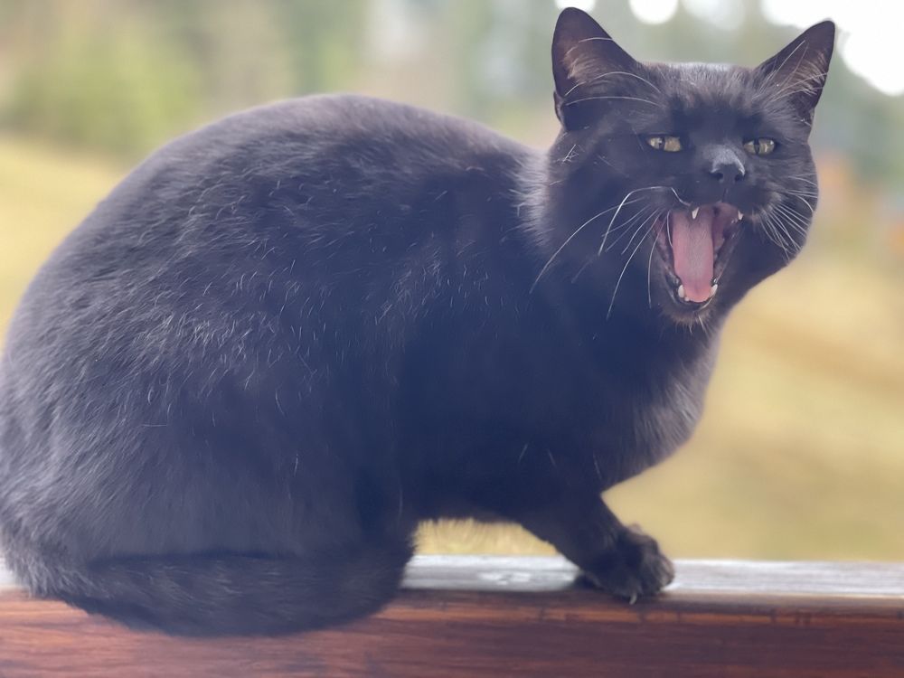 Photograph by Светлана Ткаченко