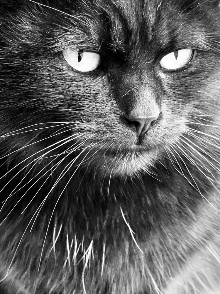 Photograph by Светлана Ткаченко