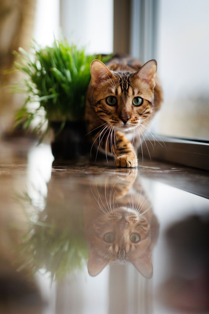 Photograph by Просолович Наталия Евгеньевна