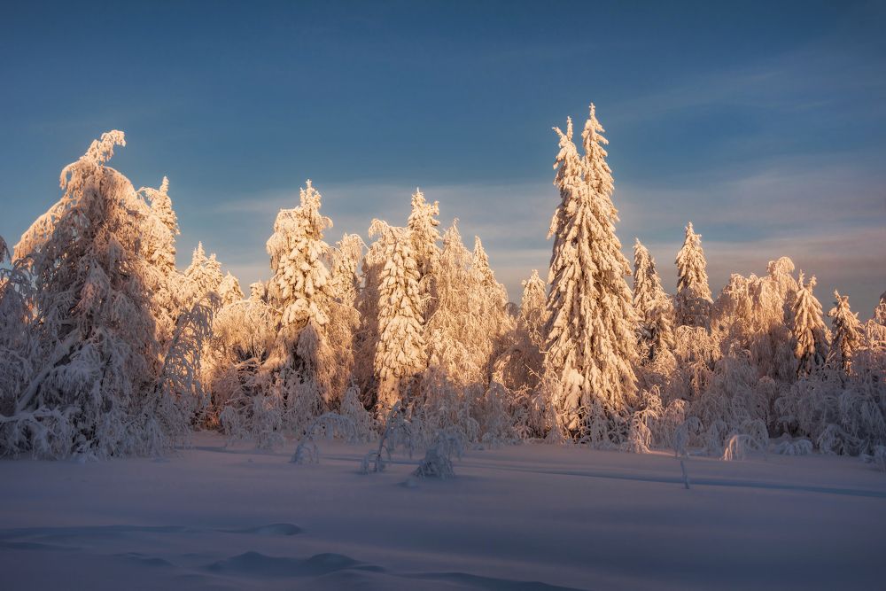 Photograph by Соколова Елена