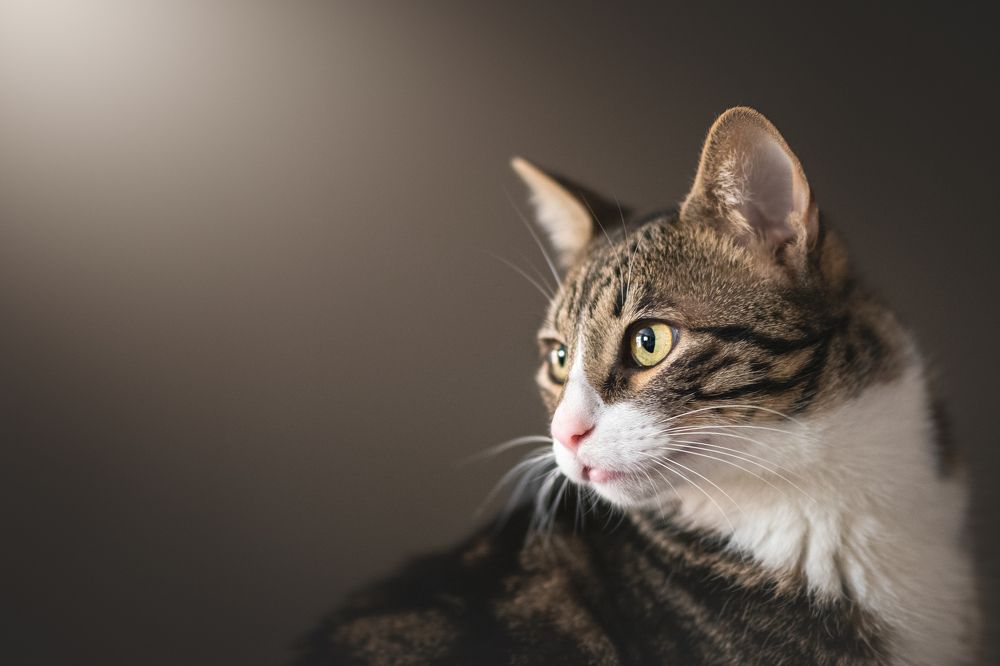 Photograph by Natalia Hidalgo