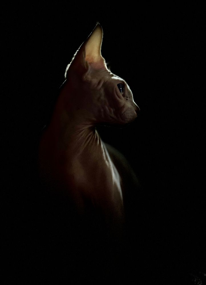 Photograph by Olga Yarovenko