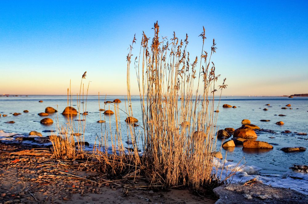 Photograph by Денис Копкин