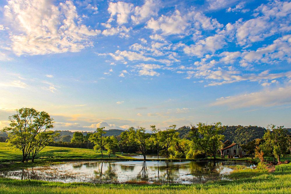 Фотография автора Iara krisna Puntel da Silva