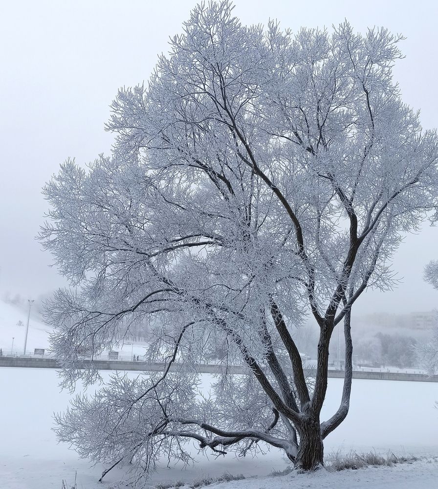 Photograph by Людмила Щуцкая