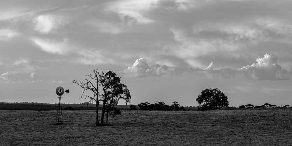 Photograph by Michelle Lane