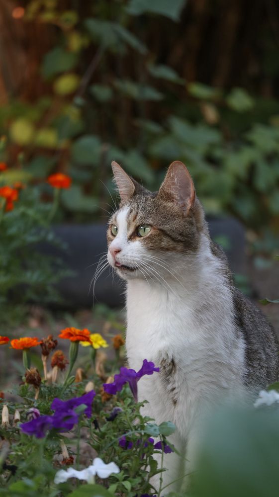 Photograph by Константин Павленко