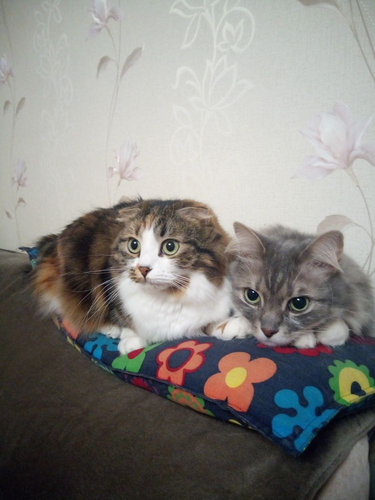 Photograph by Маша Худякова