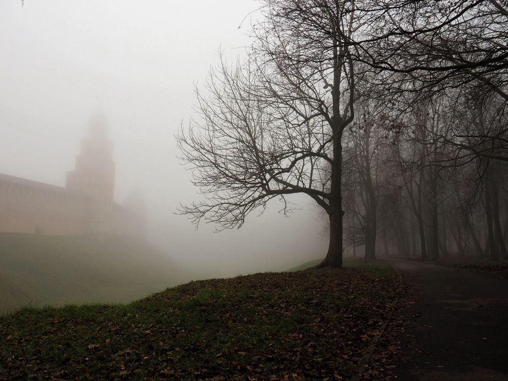 Photograph by Софья Борисова