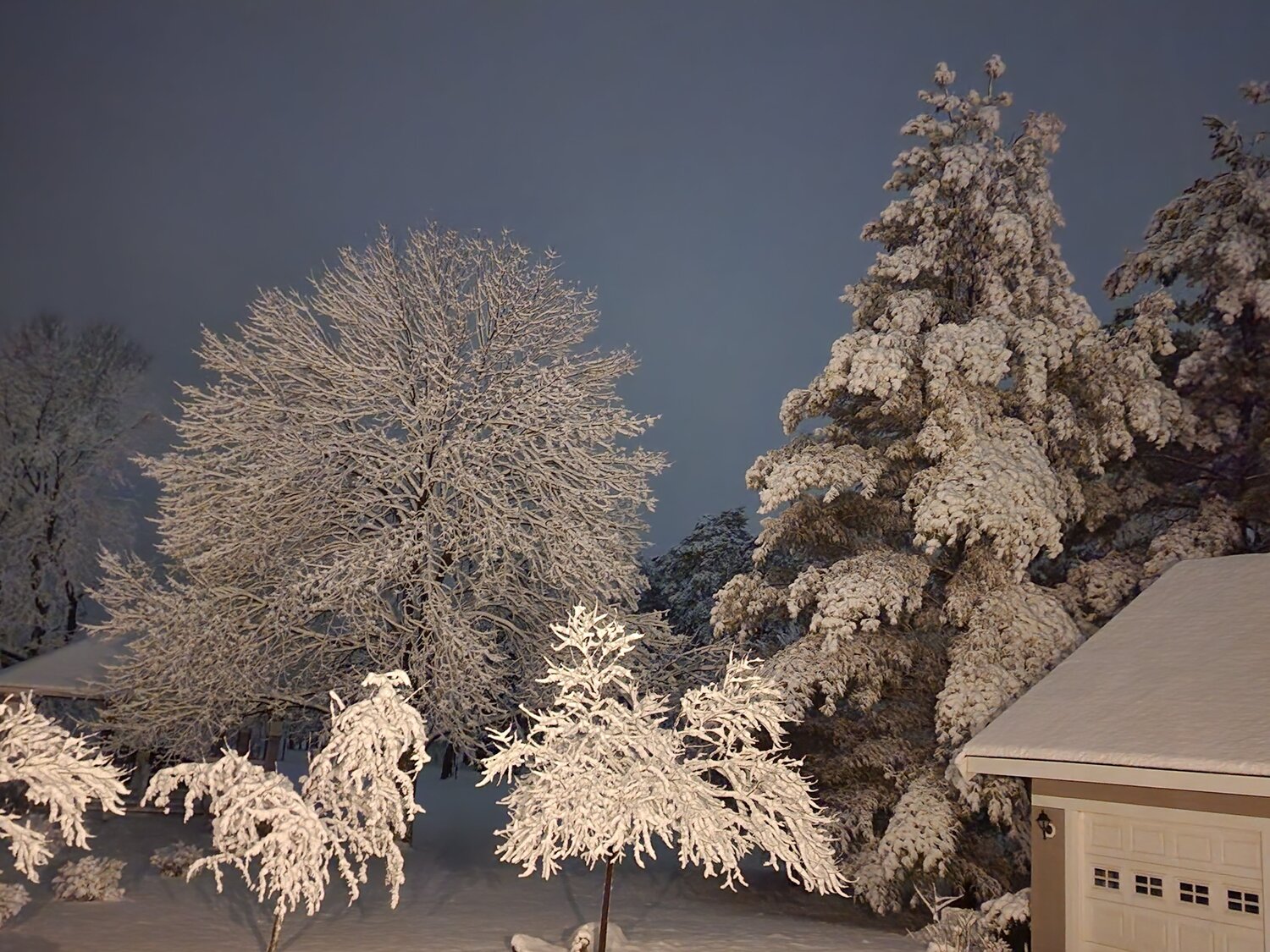 Photo #8811821