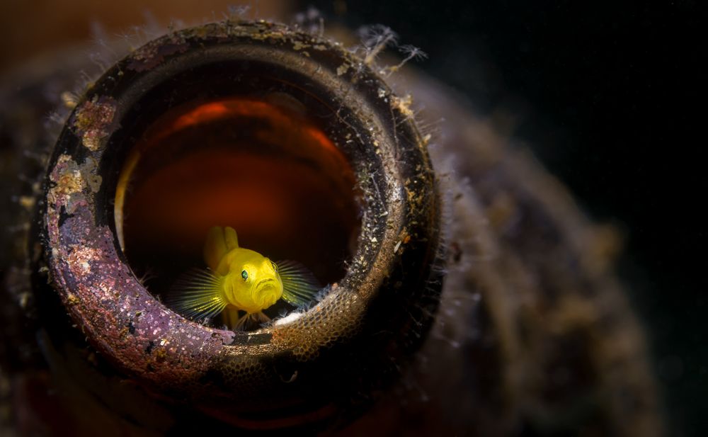 Photograph by Савин Андрей