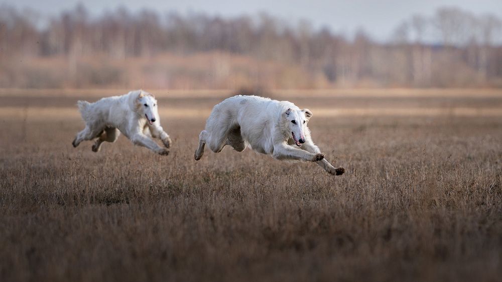 Фотография автора Оксана Серова